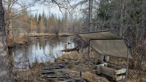6557 Hiawatha Drive Frederic Mi 49733 Dr, Frederic, MI 49733 photo 8