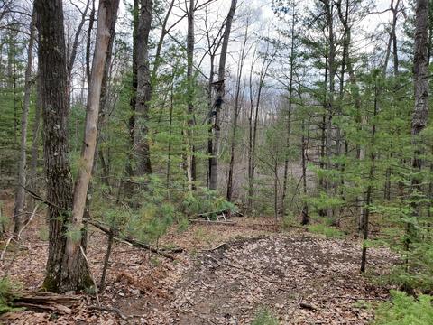 2698 S Mt Tom Road Mio Mi 48647 Rd, Mio, MI 48647 photo 20