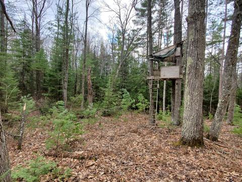 2698 S Mt Tom Road Mio Mi 48647 Rd, Mio, MI 48647 photo 24
