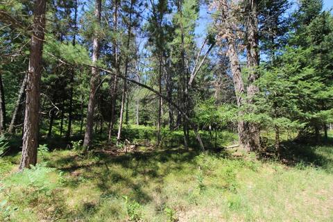 1139 Deckrow Trail Grayling Mi 49738 Trl, Grayling, MI 49738 photo 55