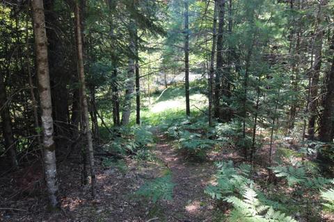 1139 Deckrow Trail Grayling Mi 49738 Trl, Grayling, MI 49738 photo 8