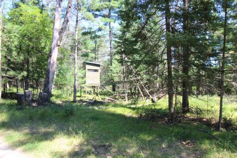 1139 Deckrow Trail Grayling Mi 49738 Trl, Grayling, MI 49738 photo 53