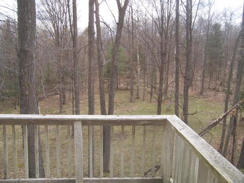 5336 N Abbe Rd, Comins, MI 48619 photo 22