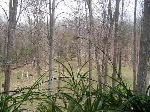 5336 N Abbe Rd, Comins, MI 48619 photo 11