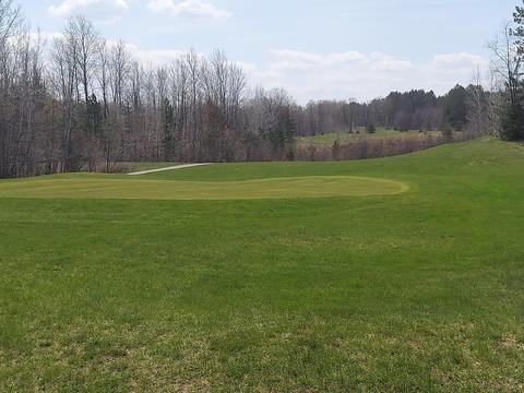 1601 Bears Paw Trl, Vanderbilt, MI 49795 photo 29