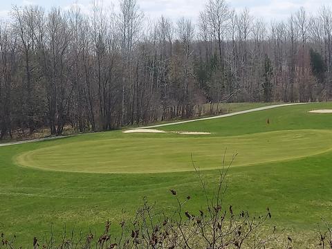 1601 Bears Paw Trl, Vanderbilt, MI 49795 photo 31