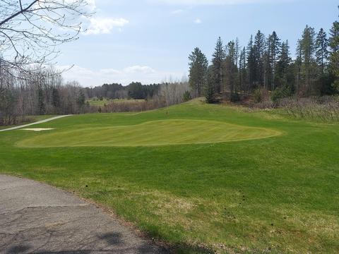 1601 Bears Paw Trl, Vanderbilt, MI 49795 photo 30