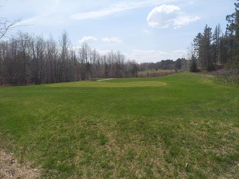 1601 Bears Paw Trl, Vanderbilt, MI 49795 photo 28