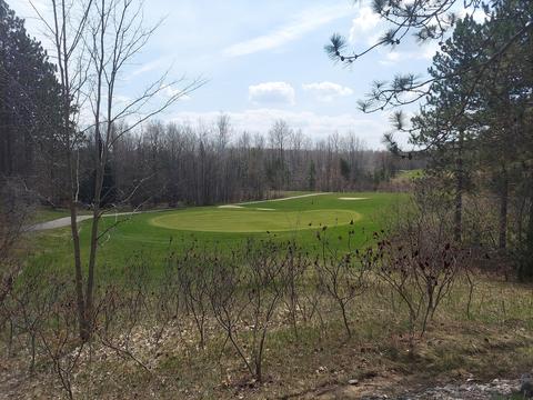 1601 Bears Paw Trl, Vanderbilt, MI 49795 photo 32