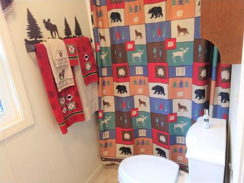 15265 Lakeview Dr, Wolverine, MI 49799 photo 18