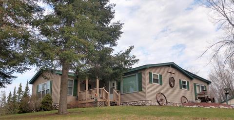 15265 Lakeview Dr, Wolverine, MI 49799 photo 4