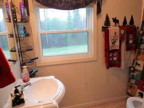 15265 Lakeview Dr, Wolverine, MI 49799 photo 19