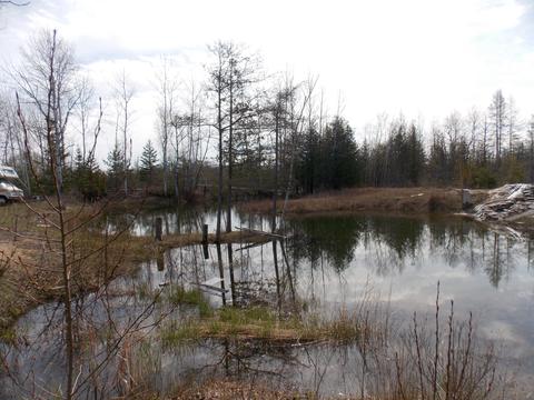 2504 E State St, Cheboygan, MI 49721 photo 32