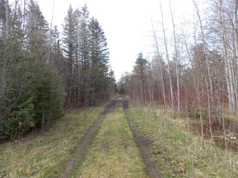 2504 E State St, Cheboygan, MI 49721 photo 28