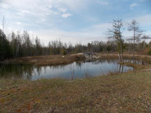 2504 E State St, Cheboygan, MI 49721 photo 31