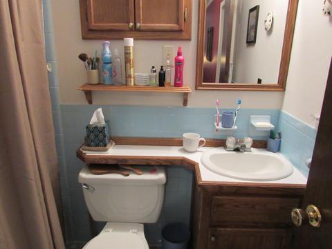 326 Avalon Dr, Roscommon, MI 48653 photo 14