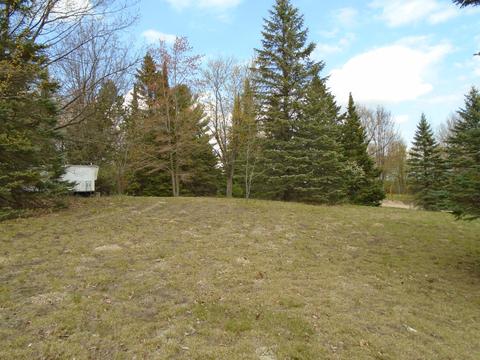 376 Bruin Dr, Mio, MI 48647 photo 13
