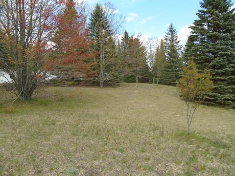 376 Bruin Dr, Mio, MI 48647 photo 15