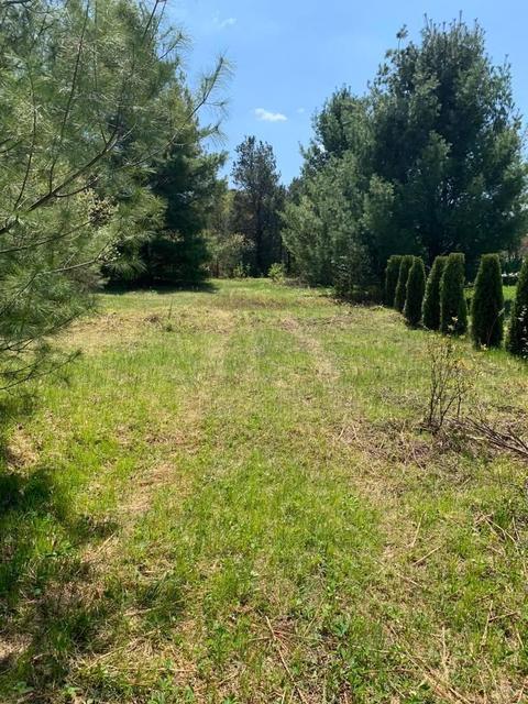 Holly Lane, Gaylord, MI 49735