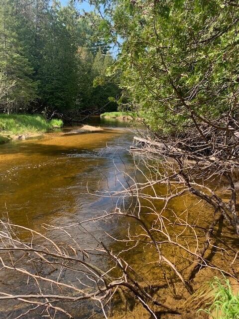 6870 Maple River Rd, Brutus, MI 49716 photo 5