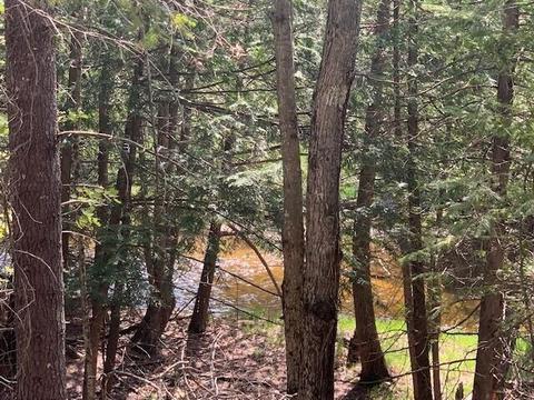 6870 Maple River Rd, Brutus, MI 49716 photo 1