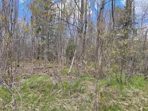 3680 Golfview Drive Wolverine Mi 49799 Dr, Wolverine, MI 49799 photo 5