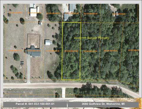 3680 Golfview Drive Wolverine Mi 49799 Dr, Wolverine, MI 49799 photo 1