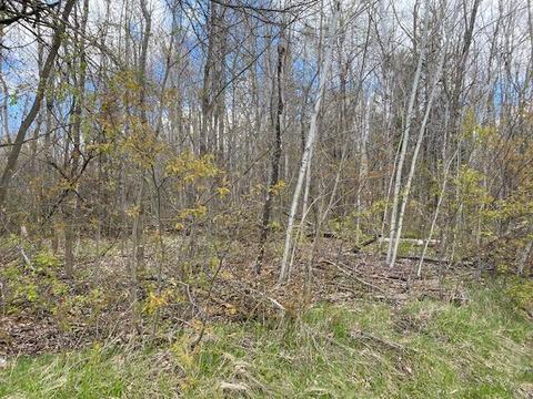 3680 Golfview Drive Wolverine Mi 49799 Dr, Wolverine, MI 49799 photo 4
