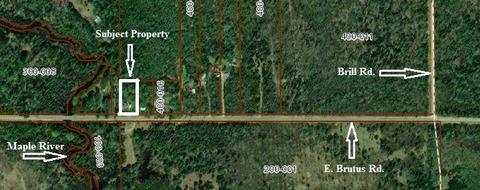 8505 E Brutus Rd, Brutus, MI 49716 photo 2