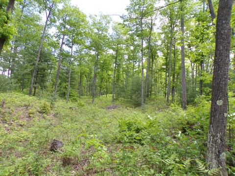 4198 E Miller Rd, Fairview, MI 48621 photo 46