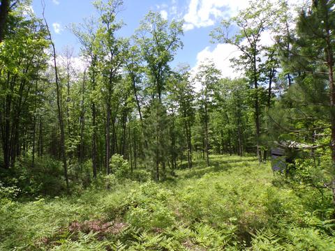 4198 E Miller Rd, Fairview, MI 48621 photo 54