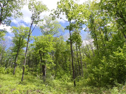 4198 E Miller Rd, Fairview, MI 48621 photo 47