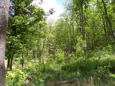 4198 E Miller Rd, Fairview, MI 48621 photo 60