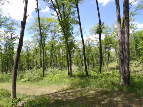 4198 E Miller Rd, Fairview, MI 48621 photo 63