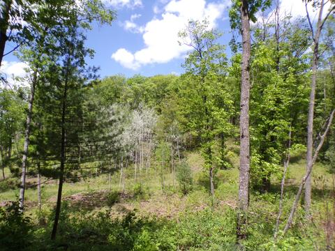 4198 E Miller Rd, Fairview, MI 48621 photo 57