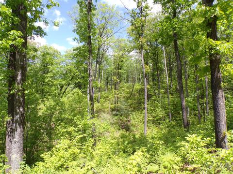 4198 E Miller Rd, Fairview, MI 48621 photo 52