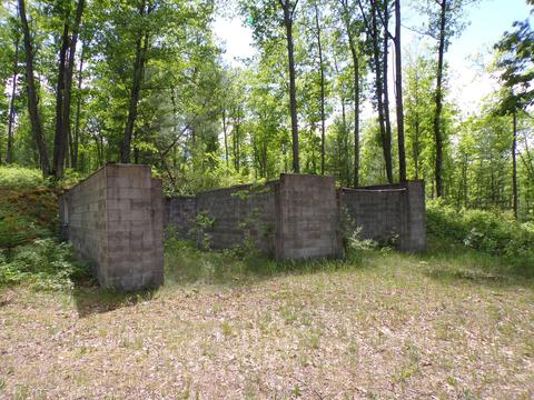 4198 E Miller Rd, Fairview, MI 48621 photo 62