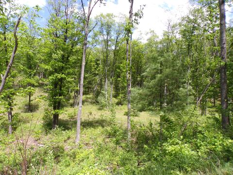 4198 E Miller Rd, Fairview, MI 48621 photo 58