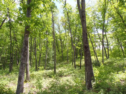 4198 E Miller Rd, Fairview, MI 48621 photo 61