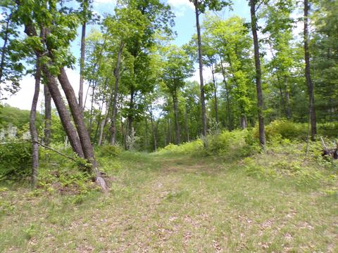 4198 E Miller Rd, Fairview, MI 48621 photo 45