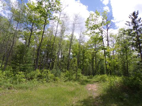 4198 E Miller Rd, Fairview, MI 48621 photo 41