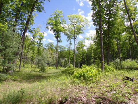 4198 E Miller Rd, Fairview, MI 48621 photo 43