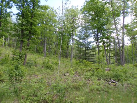 4198 E Miller Rd, Fairview, MI 48621 photo 42