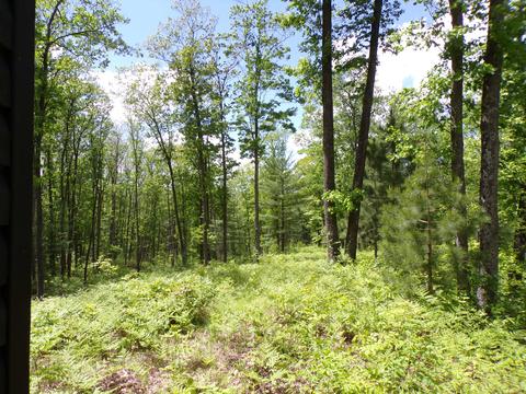 4198 E Miller Rd, Fairview, MI 48621 photo 55