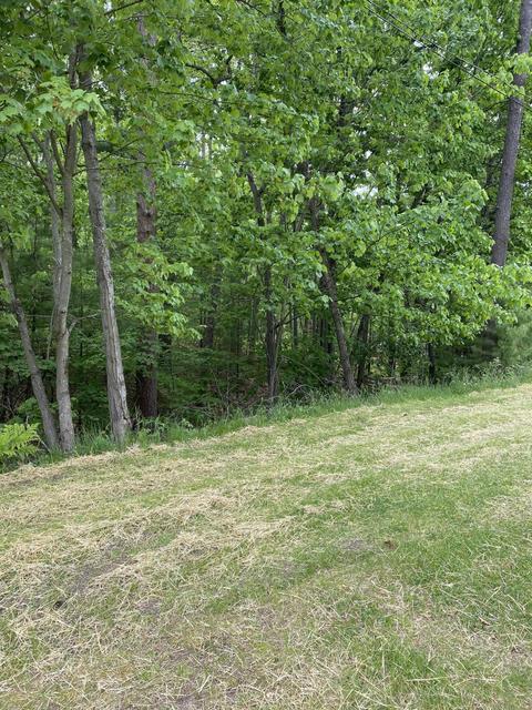 416 Eastern Dr, Roscommon, MI 48653 photo 61