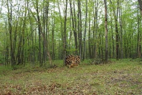 1173 Penguin Trl, Frederic, MI 49733 photo 4