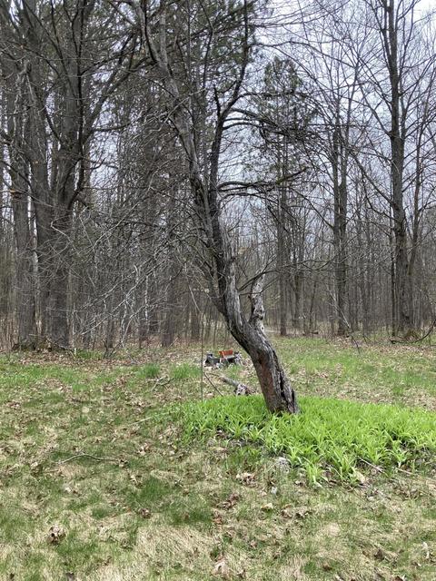 1846 Mastej Drive Grayling Mi 49738 Dr, Grayling, MI 49738 photo 12