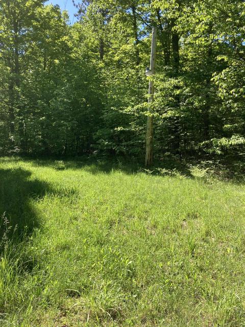 1846 Mastej Drive Grayling Mi 49738 Dr, Grayling, MI 49738 photo 18