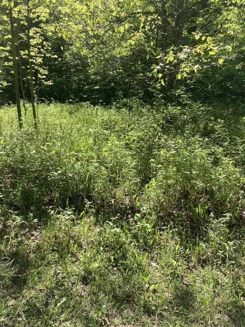 1846 Mastej Drive Grayling Mi 49738 Dr, Grayling, MI 49738 photo 14