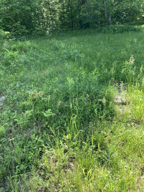 1846 Mastej Drive Grayling Mi 49738 Dr, Grayling, MI 49738 photo 10